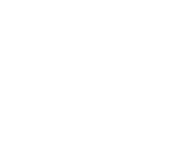 Mauri Logo